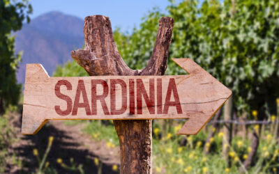 I migliori vini sardi da provare assolutamente