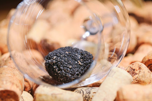 Quale vino per il tartufo: 5 consigli per non sbagliare